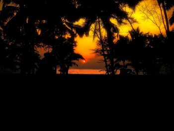 Silhouette trees against sky during sunset