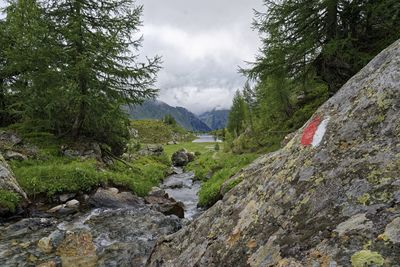 Scenic view of stream amidst rocks and trees against sky