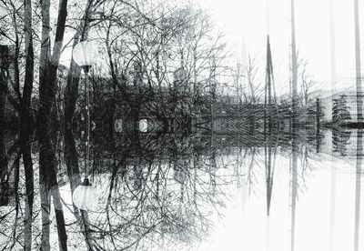 Bare trees against sky