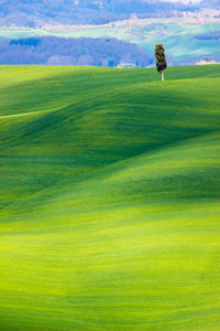 Scenic view of golf course