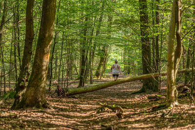 Man walking along trees in forest