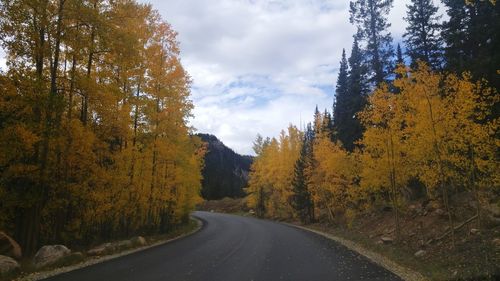 Road amidst trees against sky during autumn