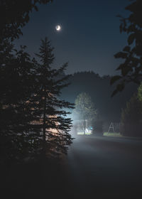 Silhouette trees against sky at night