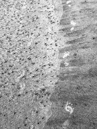 High angle view of footprints on sand