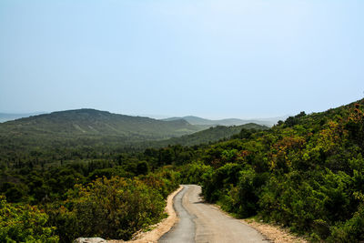 Road amidst plants against sky