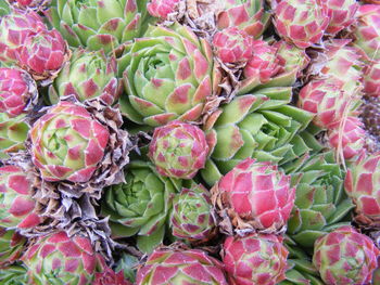 Full frame shot of vegetables