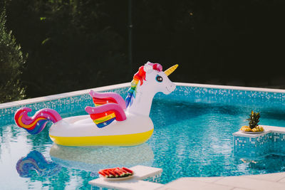 High angle view of figurine in swimming pool