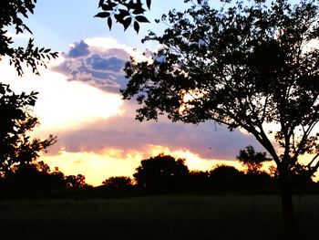 Silhouette trees on field against sky at sunset