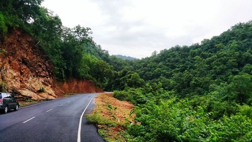 Road passing through trees