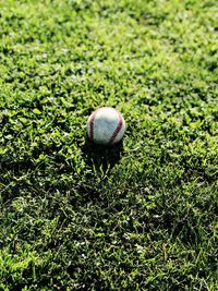 Close-up of ball on grass
