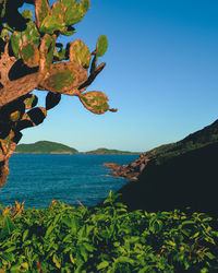 Scenic view of sea against clear blue sky