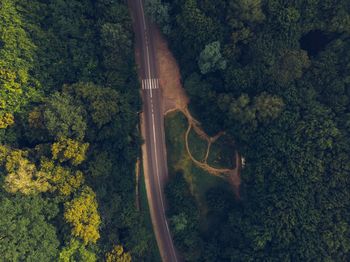 High angle view of road amidst trees in forest