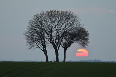 Bare tree on field against sky during sunset