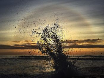 Scenic view of sea at sunset