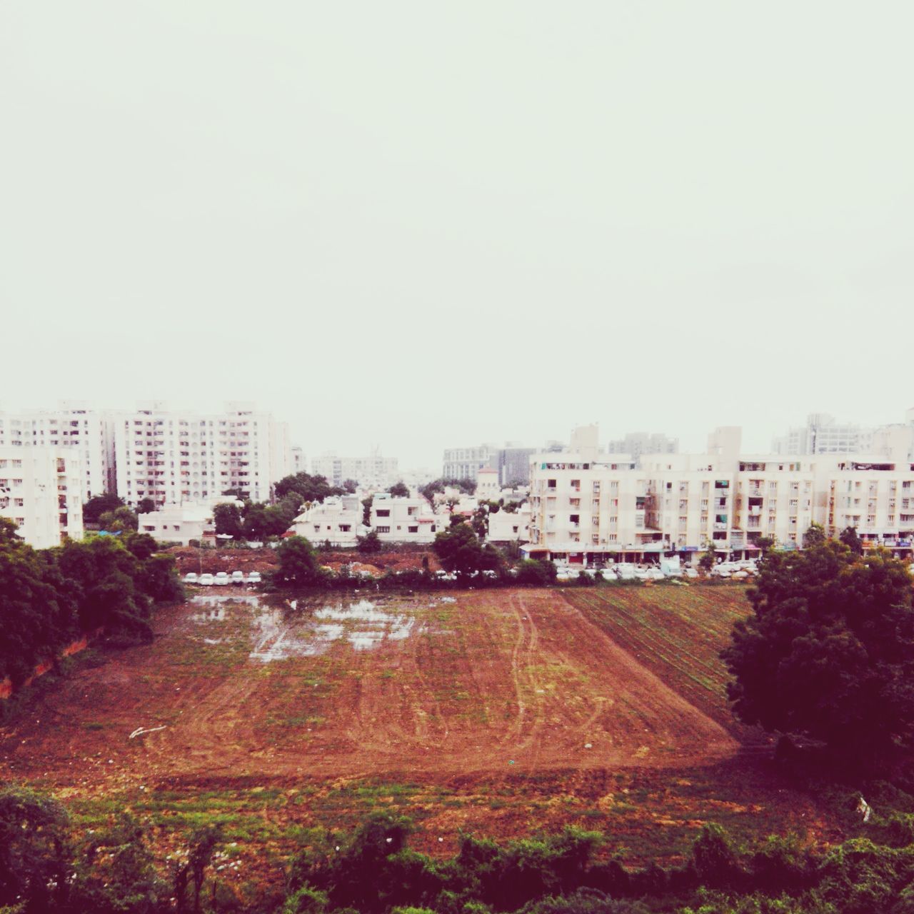 White buildings