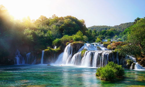 View of waterfall in forest