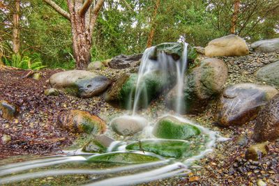 Close-up of waterfall in forest