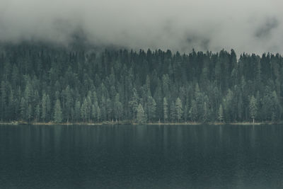 Scenic view of lake by forest during foggy weather