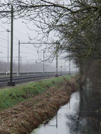 Bare trees by river against sky during winter