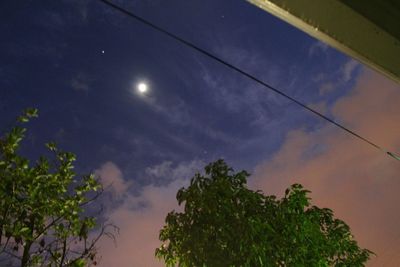 Low angle view of trees against sky