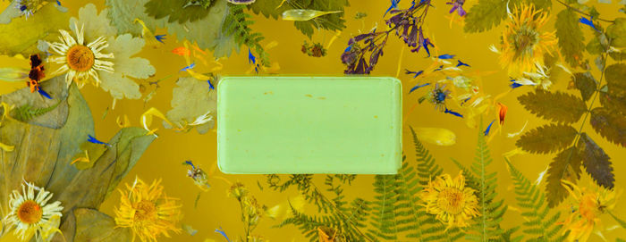 Dried plantain and flowers laid out on a yellow background. mock up of homemade soap. eco-friendly. 