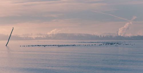 Scenic view of sea against sky during foggy weather