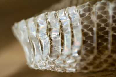 Close-up of drinking glass on table