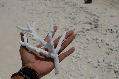 Close-up of hand holding sand