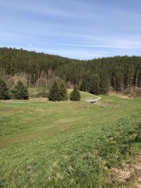 Scenic view of trees on field against sky