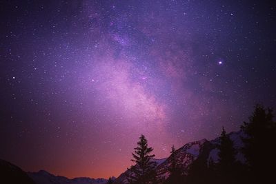 Low angle view of silhouette trees against sky at night