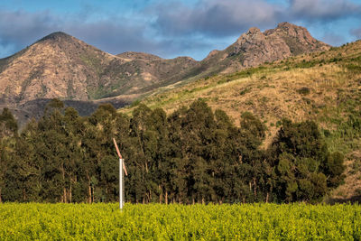 Scenic view of green landscape against sky