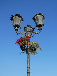 Street lamp and flowers with background sky