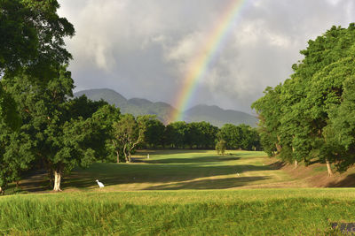 Scenic view of golf course against sky