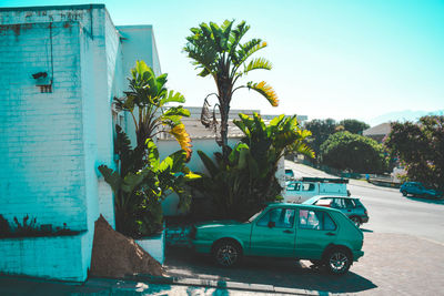 Car on street against sky