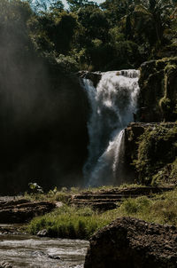 Scenic view of waterfall in forest