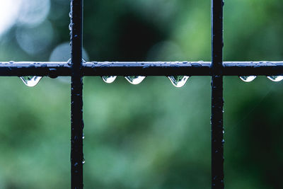 Close-up of wet metal grate at window during rainy season