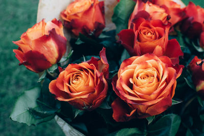 Bouquet of beautiful unique red, orange and peach vibrant colors roses on natural green background. 