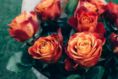 High angle view of rose bouquet