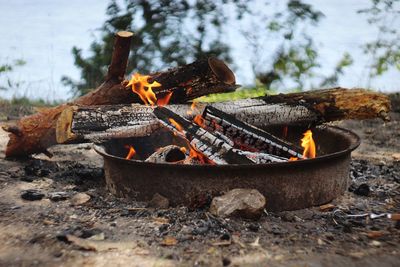 Close-up of fire on log