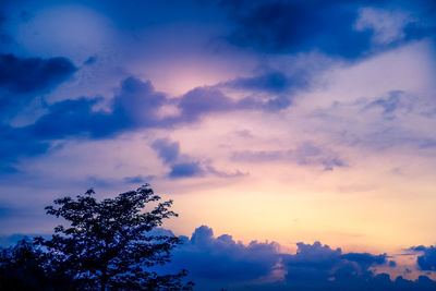 Low angle view of silhouette tree against sky at sunset