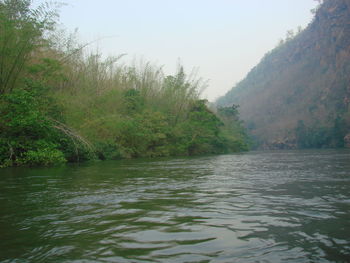 Scenic view of river amidst trees in forest against sky