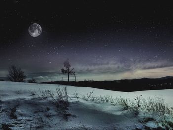 Scenic view of field against sky at night