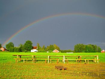 Scenic view of grassy field against sky