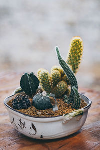 Close-up of fruits in bowl on table