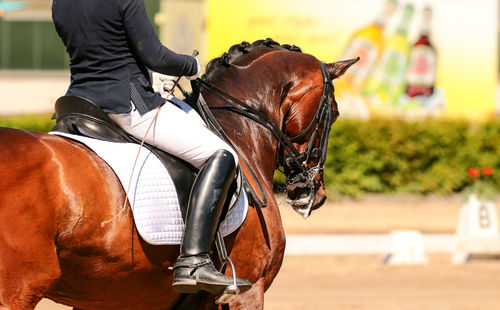 Low section of man riding horse