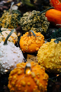 Full frame shot of pumpkins during halloween