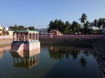 Reflection of palm trees in swimming pool