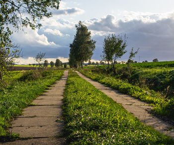 Footpath amidst plants on field against sky