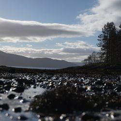 Surface level view of wet stones on field against cloudy sky