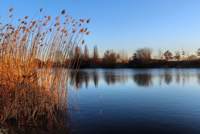 Scenic view of lake against clear sky